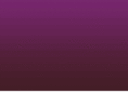 pulse-india.com