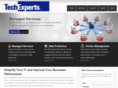techexpertshouston.com