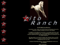 zitoranch.com
