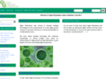 algaeenterprises.com