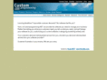 customprogramming.net