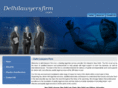 delhilawyersfirm.com