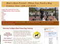 dogtrainernow.com
