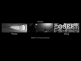 paranoid-section.com