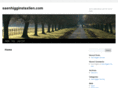 saenhigginstaxlien.com