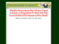 youroutsourcingsecrets.com