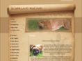 boxerlandireland.com