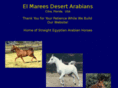 desertarabians.com