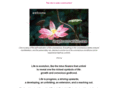 insight-out-within.com