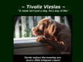 tivoliz.com