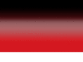 transfokus.com