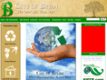 begreeninbryan.com