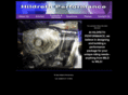 hildrethperformance.com