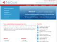 netsoftseattle.com