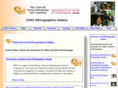 anthrocommons.net