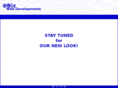 ebizwebdevelopments.com
