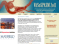 vasospasm11.com