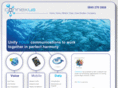 21cnconsulting.com