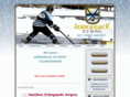 adirondackicebowl.com