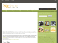 bigpictureclass.com