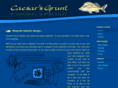 caesarsgrunt.com