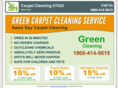 carpetcleaning07020.com