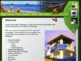 infoflamingo.com