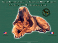 saint-hubert-bloodhound.com