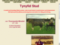 tynyfid.com