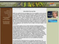 azstreambeds.com