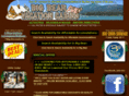 bigbearvacationcabins.com