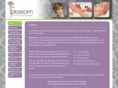 blossommedicalwigsandskincarespa.com