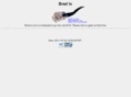 brad-io.com