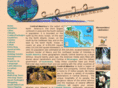 centralamericantravelguide.com