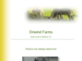 driwind.com