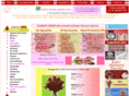 mumbaiflowerplaza.com