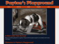 paytonsplayground.com