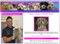 floridalittledogrescue.com