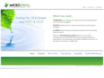 microspringintl.com