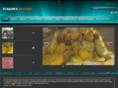 turkmendunyasi.com