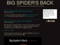 bigspidersback.com