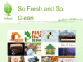 freshmintdesign.com