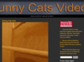 funnycatsvideos.net