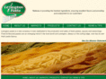 lexingtonpasta.com