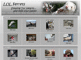 lolferrets.com