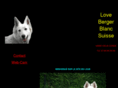love-berger-blanc-suisse.net