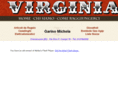 virginiagarino.com