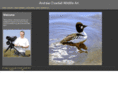 andrewcowdell.com