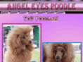angel-eyes-poodle.com