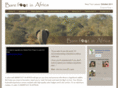 barefootinafrica.com